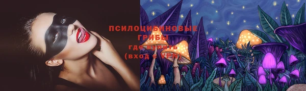спиды Алексин