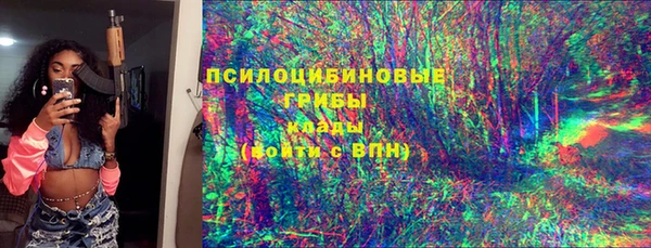 спиды Алексин