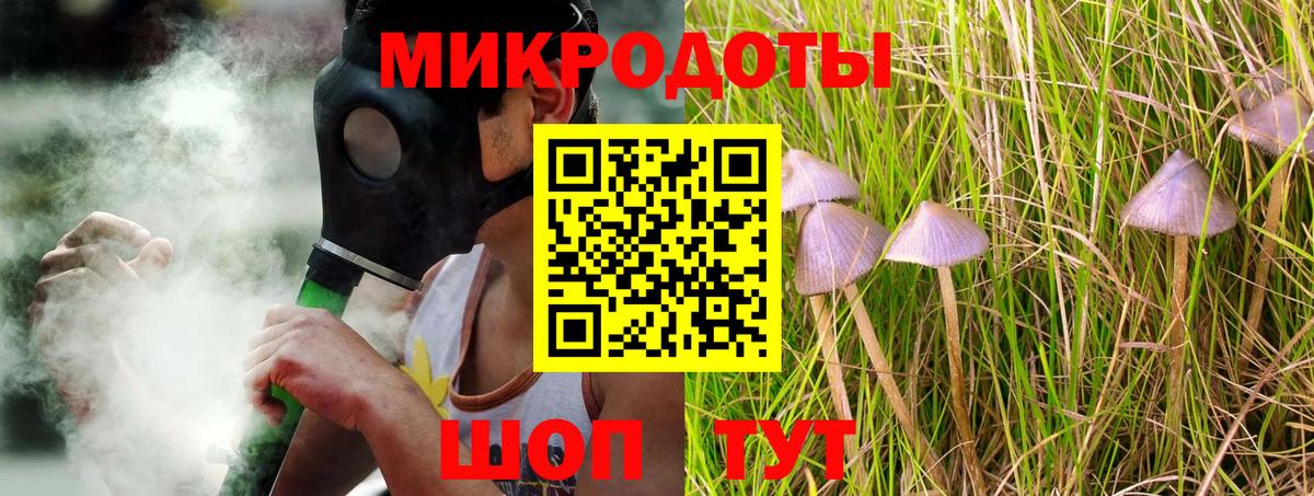 Избербаш  Галлюциногенные грибы Psilocybe  Вход с VPN 