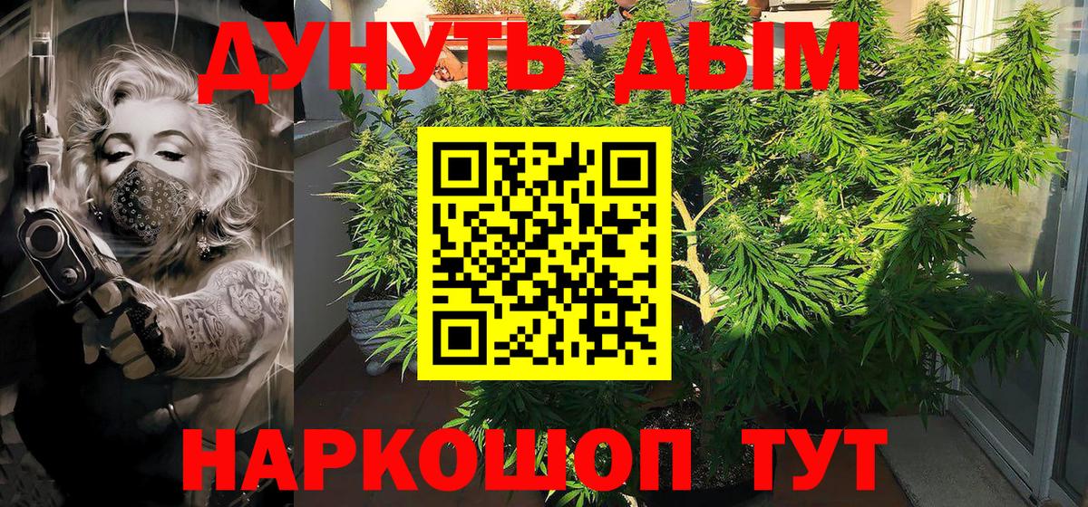 Бошки Шишки планчик Избербаш